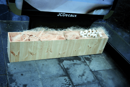 Media_httplogdoesnote_geoad